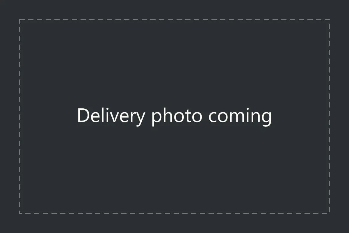 Placeholder: a photo of a Salt Flats delivery is coming